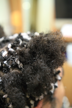 アフロドレッド3−5
afro dread 3-5