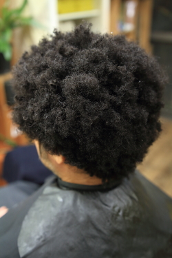 アフロドレッド3−6
afro dread 3-6