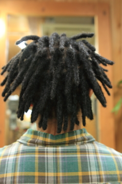 アフロドレッド3−15
afro dread 3-15