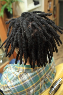 アフロドレッド3−16
afro dread 3-16