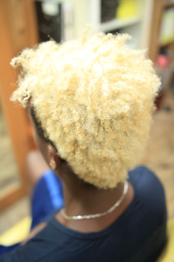 アフロドレッド1−2
afro dread 1-2