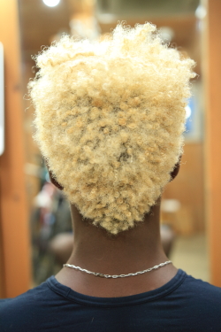 アフロドレッド1−4
afro dread 1-4